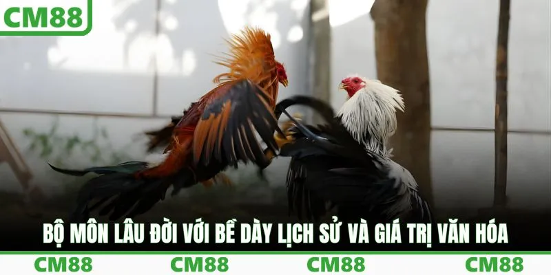 Bộ môn lâu đời với bề dày lịch sử và giá trị văn hóa